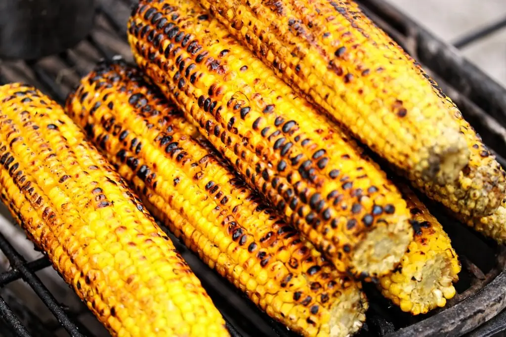 Grilled corn on the cob on a grill